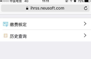 掌上12333医保怎么缴费