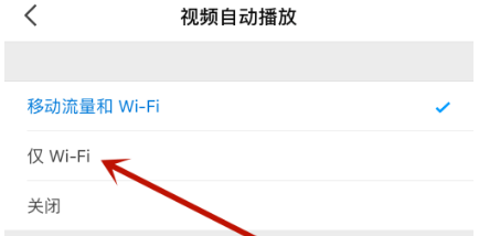 知乎视频自动播放怎么设置