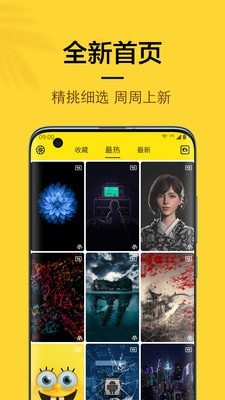 橙子4D动态壁纸（动态壁纸）